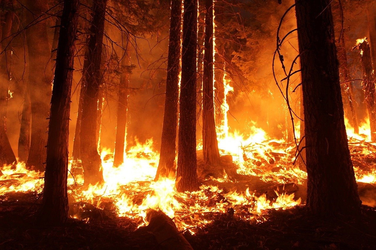 Incendie de Biebrza, plus grand parc national Polonais: vers une nouvelle banalité?
