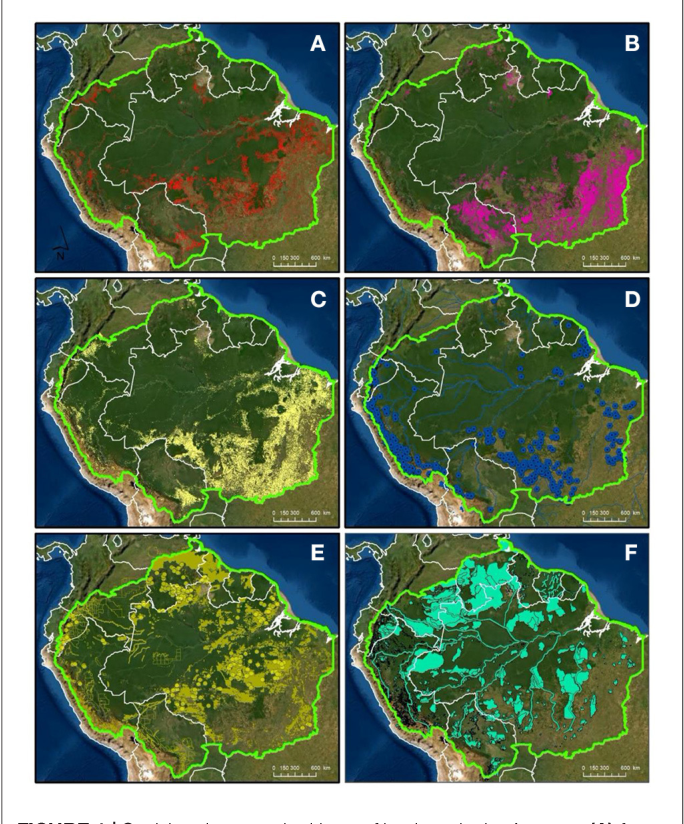 Amazonie deforestation 